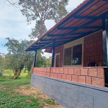 Nature Spot Cottages Coorg Kurchi المظهر الخارجي الصورة