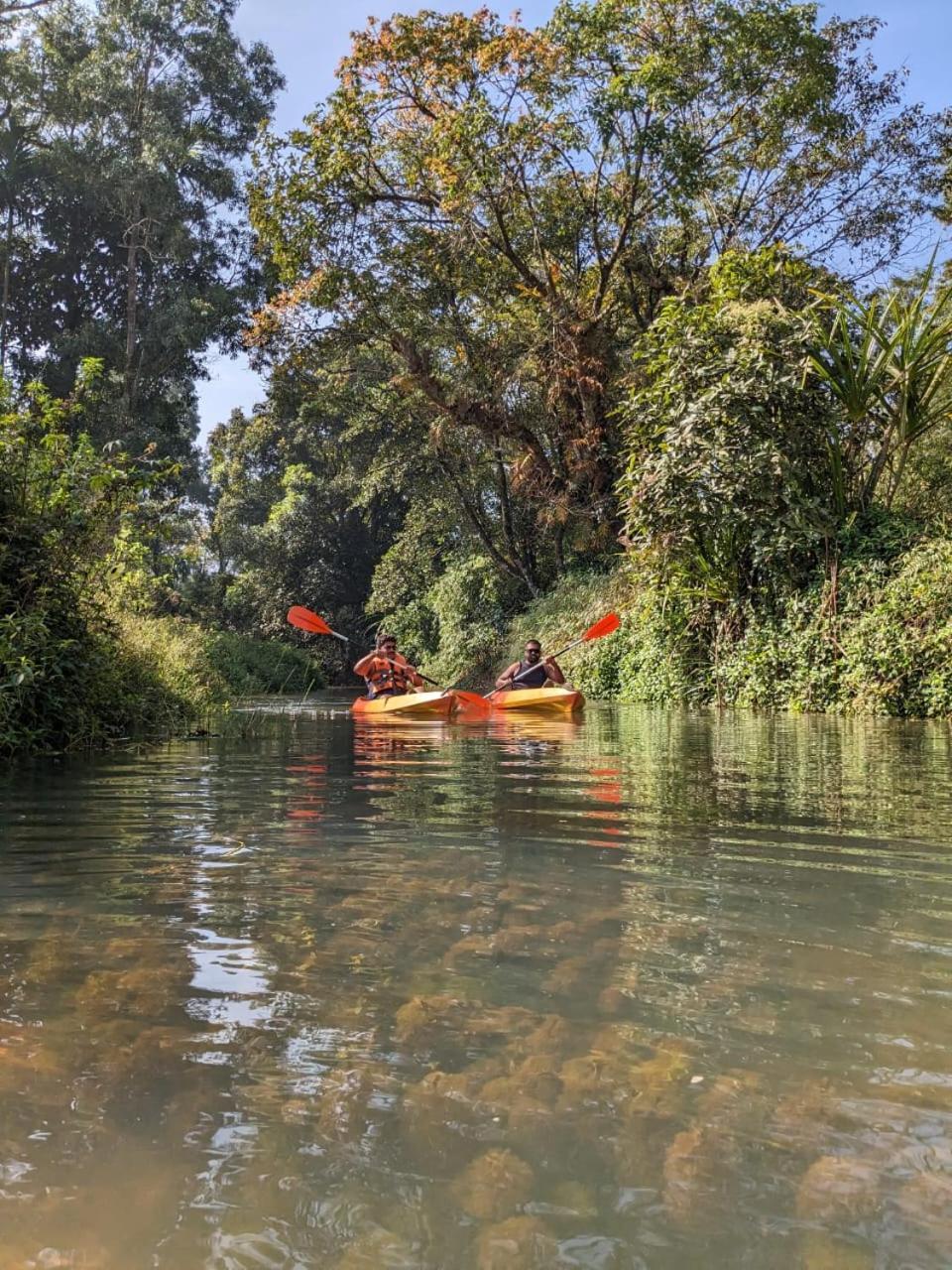 Nature Spot Cottages Coorg Kurchi المظهر الخارجي الصورة