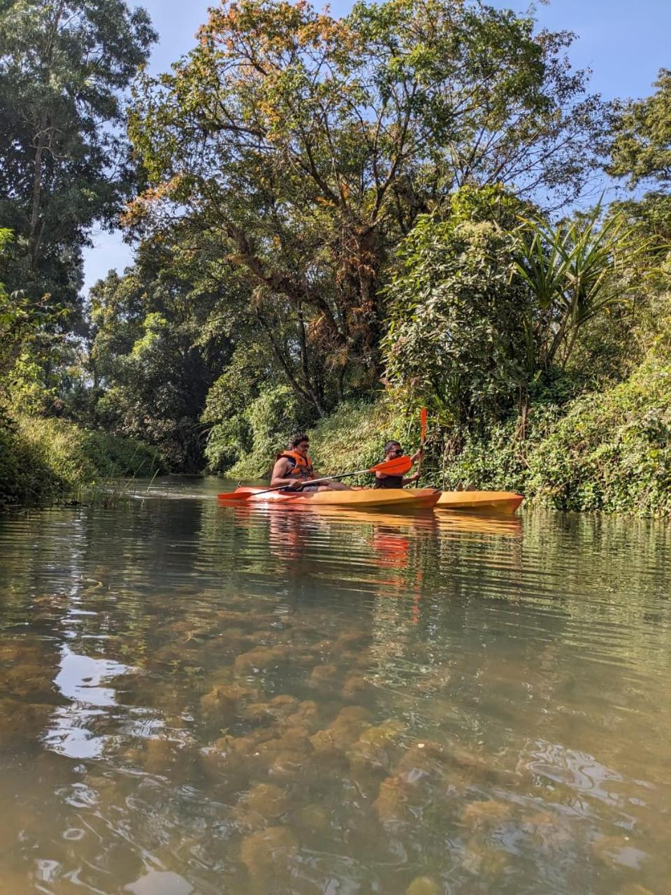 Nature Spot Cottages Coorg Kurchi المظهر الخارجي الصورة
